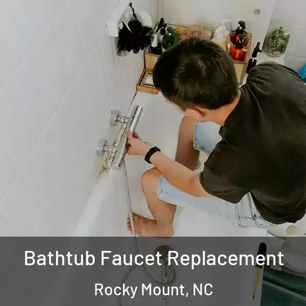  Bathtub Faucet Replacement Rocky Mount, NC