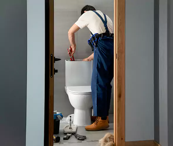 Professional Plumbers for Toilet Bowl Replacement in Rocky Mount, NC: Schedule Affordable Toilet Replacement Services With Us