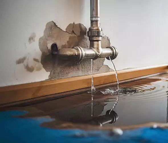 Professional Water Damage Restoration Experts in Rocky Mount, NC — Fast, Reliable & Certified