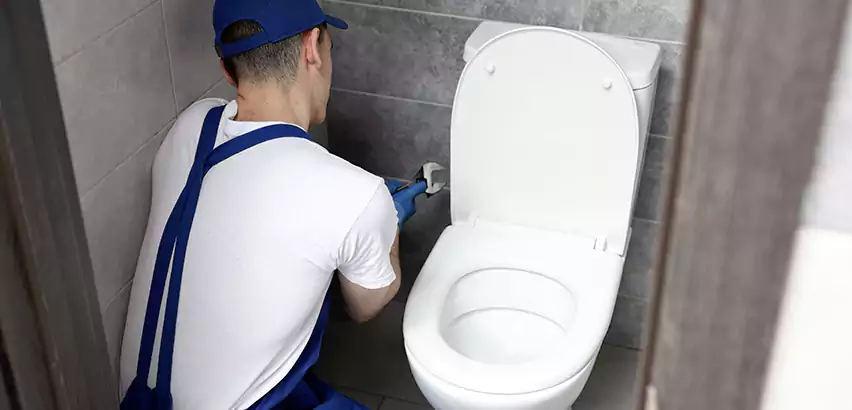 Toilet Lid Replacement in Rocky Mount