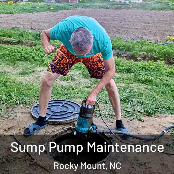  Sump Pump Maintenance Rocky Mount, NC