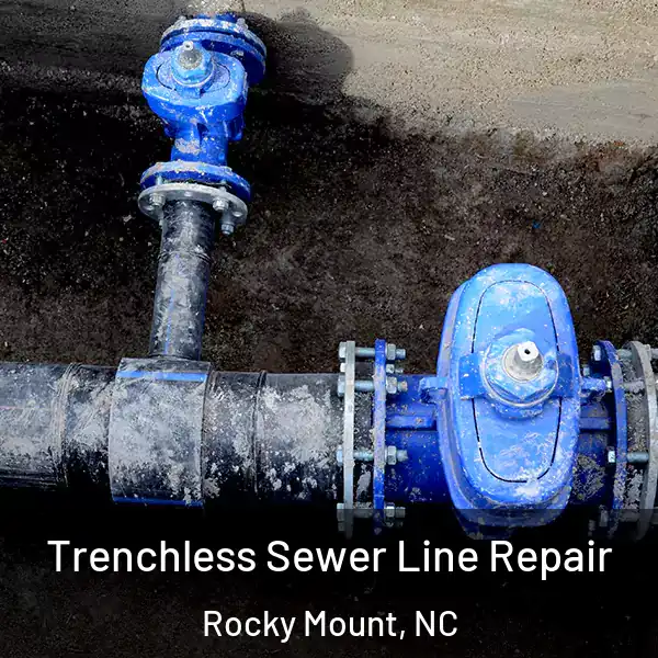  Trenchless Sewer Line Repair Rocky Mount, NC
